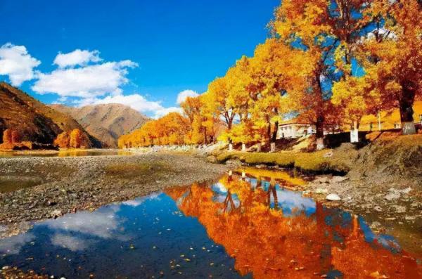 11月去哪裡賞秋?6個人少景美的旅行地,正是你要出發的方向 11月去哪裡賞秋?6個人少景美的旅行地,正是你要出發的方向