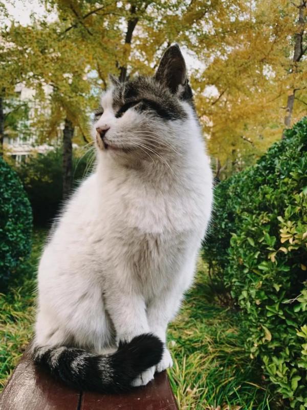 北京6家小眾公園&amp;周邊吃喝不完全指南，重拾兒時的美好與神仙級美味