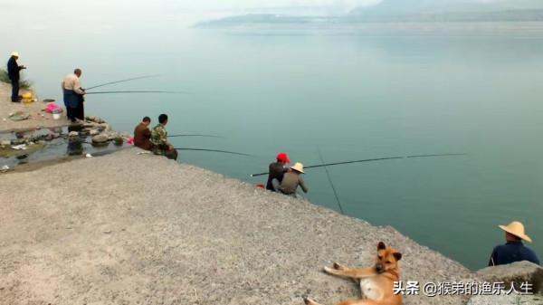 最煩人的四種小雜魚，武力值爆表，是釣魚人最大的敵人