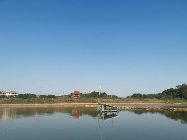 餌料未把魚兒引來卻招來不速之客，趕都趕不走……
