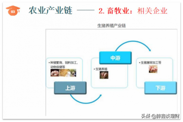 農業晶片——小種子迎來大風口 農業晶片——小種子迎來大風口