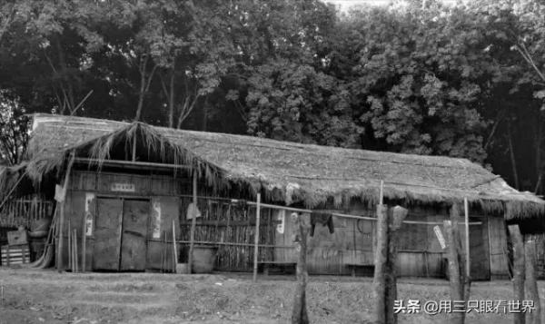 「知青往事」我這大半輩子…… 一個女知青的曲折經歷 「知青往事」我這大半輩子…… 一個女知青的曲折經歷