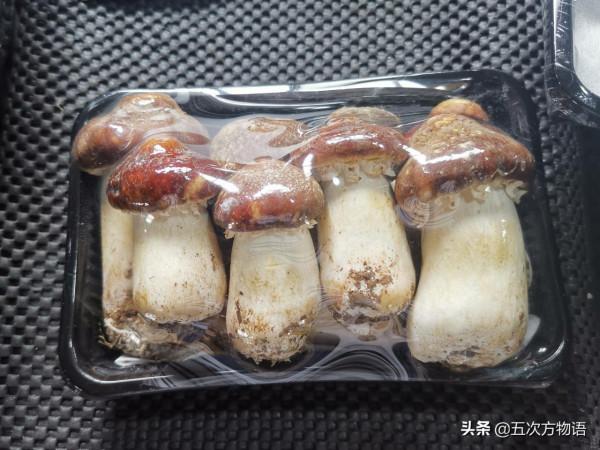 菜市場菌類大彙總