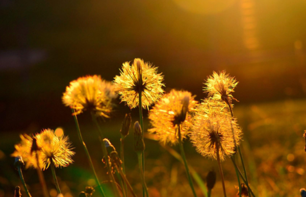 當你不與人爭辯,你就贏了 當你不與人爭辯,你就贏了