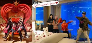 聖誕節明星齊曬照：奚夢瑤母子佈置聖誕樹 吳尊全家遊玩迪士尼