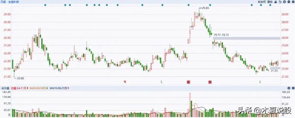 明顯被低估的兩隻股票，淨利潤高增長，但是股價卻超跌