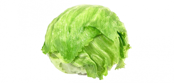 輕食乾貨！蔬菜基底科普大全，輕食創業蔬菜基底怎麼選？