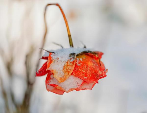 人生感悟：世界很好，你也是！一切都會好的