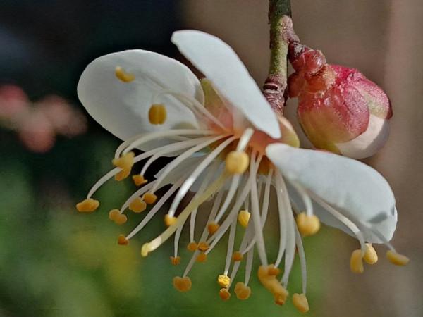 人到中年,聚散不驚,得失淡然,乃大智慧 人到中年,聚散不驚,得失淡然,乃大智慧