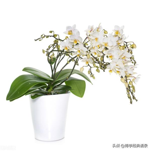 看完這些故事，生活中就不會再有怨言了