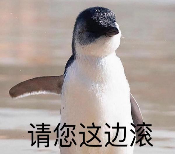 遊戲做成這樣不要拿出來丟人現眼！RNM！退錢