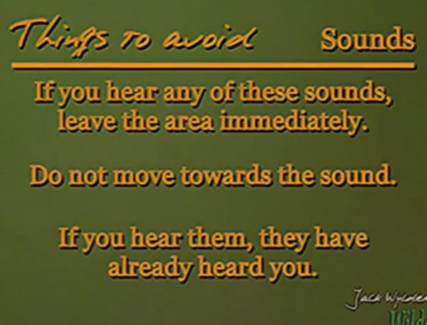 “動物園怪談”沒看夠的話,你還可以試試“模擬恐怖” “動物園怪談”沒看夠的話,你還可以試試“模擬恐怖”