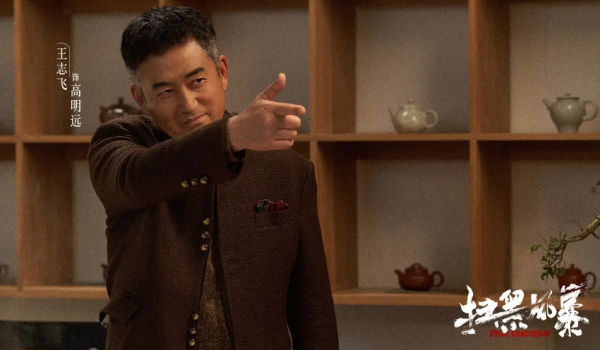 2021年電視劇10大演技派，5位老戲骨5位青年演員，這才是好演員