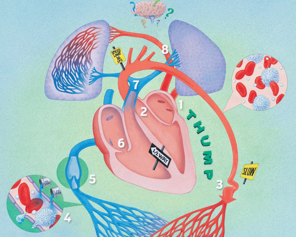 阜外醫院分析了87萬國人：僅2.8%具備這四個長壽習慣