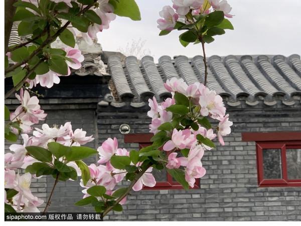 攜手相伴有緣人,白首歸來歲月深 攜手相伴有緣人,白首歸來歲月深