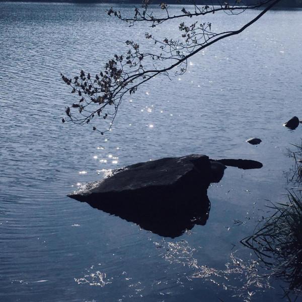 《我在人間的日子：拍個爛片》