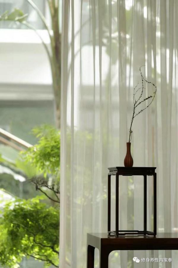 上天特賜一斗光：宅在家裡三週，好好享受著這難得的靜美時光