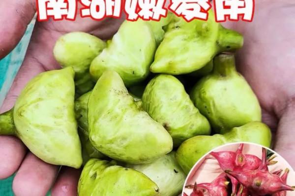 有什麼出了產地，就吃不到的驚豔美食？