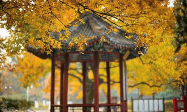 史鐵生《我與地壇》讀後感1:好好活著,好好孝敬父母 史鐵生《我與地壇》讀後感1:好好活著,好好孝敬父母