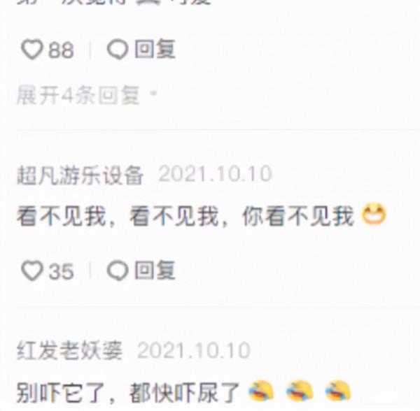 男子在牆角遇見1只老鼠，卻不由被逗樂了：這也太可愛了吧？