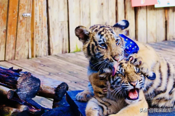 這個冬天，我們一起畢業