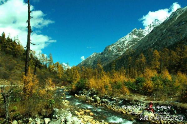 這裡是四川｜雪後畢棚溝
