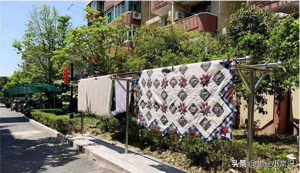 常見的16類違規事例，物業應該怎麼處理？