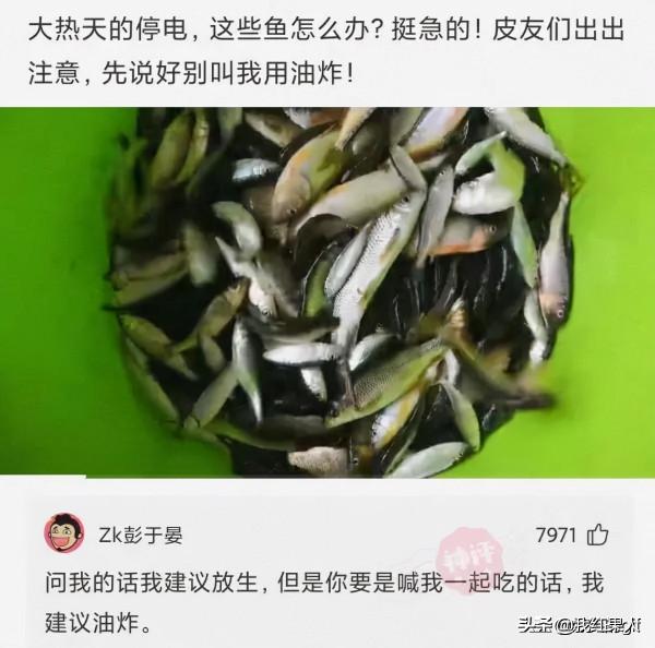 親媽給取的名字,上學3天我就被別人打了12次,不改名不敢上學了 親媽給取的名字,上學3天我就被別人打了12次,不改名不敢上學了