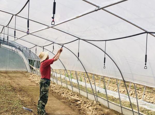 一種家庭種菜大棚，設計、安裝簡單，造價極低，適合各種蔬菜種植