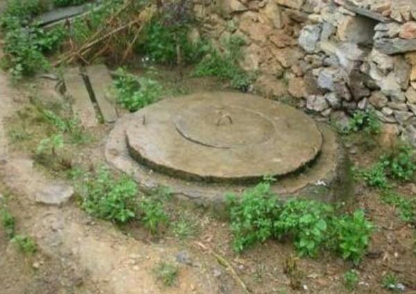 啊！我魂牽夢繞的蘭陵五中！伙房裡的老張當年對我們特別好