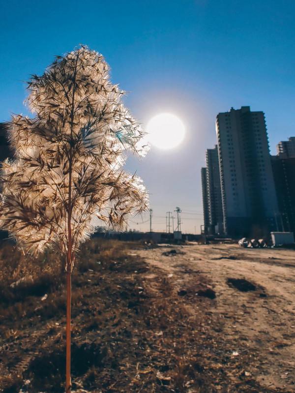 索尼Xperia Pro-I對比vivo X70 Pro+ 攝影精選