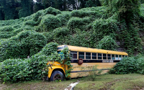 30個被人類遺棄的神秘角落,美到令人窒息 30個被人類遺棄的神秘角落,美到令人窒息