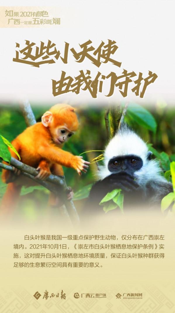 如果2021有顏色，廣西一定是五彩斑斕