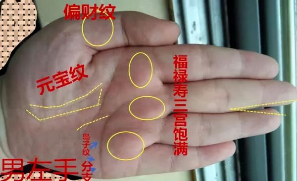 老祖宗識人術：掌中三樣紋，榮華富貴陳，哪“三樣紋”？有啥講究
