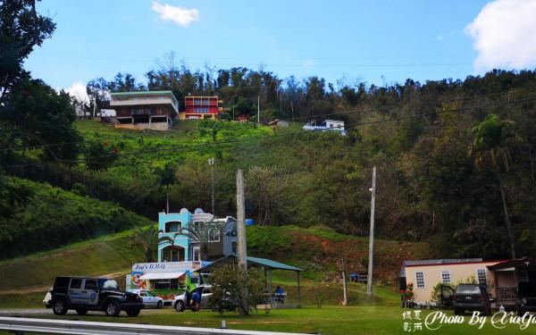 波多黎各之旅(四)遊風洞(CuevaVentana)奇遇世外桃源 波多黎各之旅(四)遊風洞(CuevaVentana)奇遇世外桃源