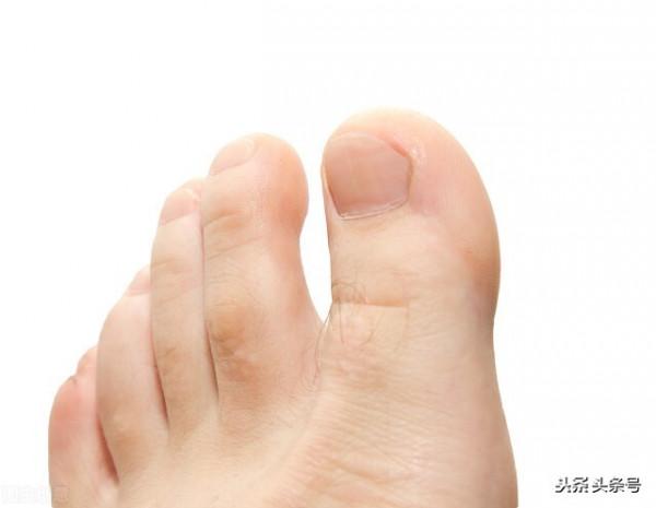 50歲以後進入養壽“黃金期”,儘量補充這幾種營養,更利於長壽 50歲以後進入養壽“黃金期”,儘量補充這幾種營養,更利於長壽