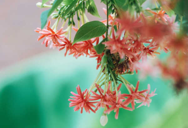 志向遠大,能屈能伸的星座,懂得知進退,是不可多得的人才 志向遠大,能屈能伸的星座,懂得知進退,是不可多得的人才