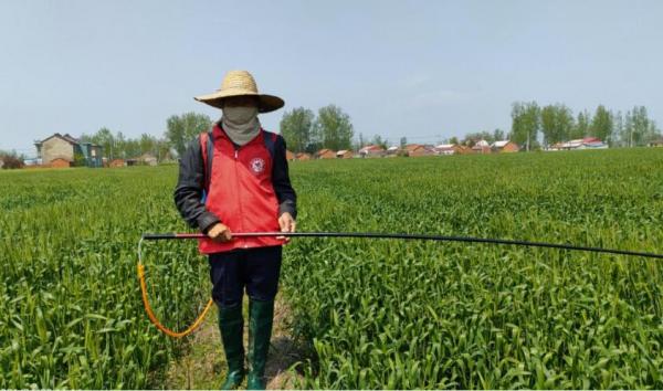 蜜蜂養殖,根本沒用過蜂藥,蜂蜜卻檢測出藥物殘留,問題出在哪? 蜜蜂養殖,根本沒用過蜂藥,蜂蜜卻檢測出藥物殘留,問題出在哪?