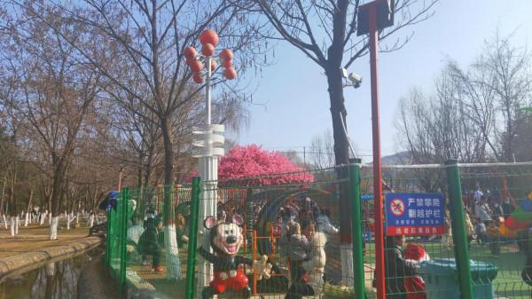 正月初三，洛水岸邊，豔陽高照