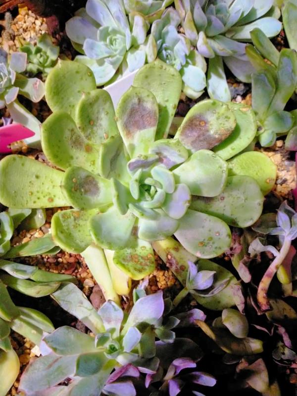 今年天氣真夠嗆