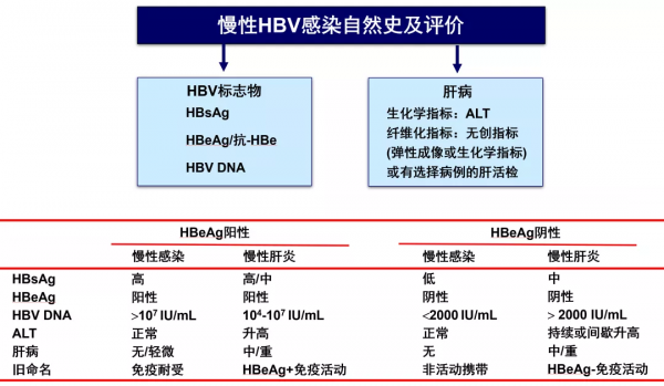 《美國慢性乙型肝炎病毒感染管理治療流程：2021年修訂》新亮點