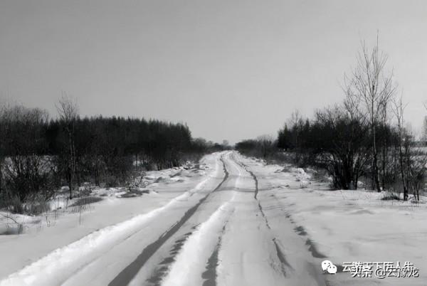 黑黑的大森林:45年前北大荒的人熊生死大搏戰 黑黑的大森林:45年前北大荒的人熊生死大搏戰