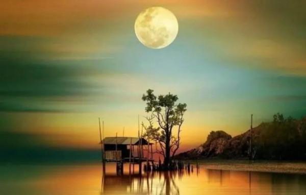 看人要理性,杜媽身上這些閃光點,值不值得世人學習 看人要理性,杜媽身上這些閃光點,值不值得世人學習