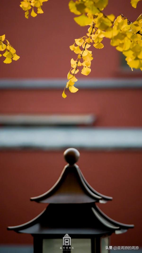 周遊|“今生世上再無他,我也無需看任何人” 周遊|“今生世上再無他,我也無需看任何人”