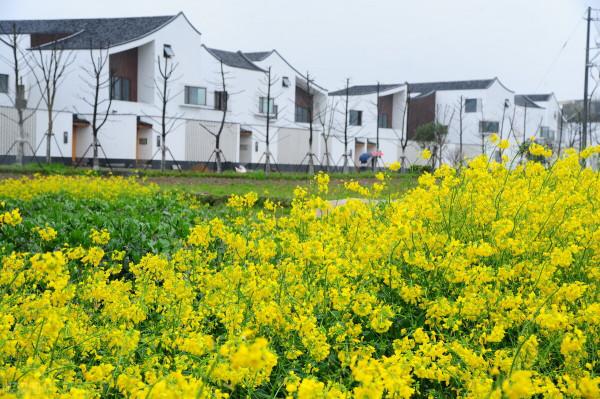 31省份上半年居民人均可支配收入公佈!浙江又成全國矚目的焦點 31省份上半年居民人均可支配收入公佈!浙江又成全國矚目的焦點