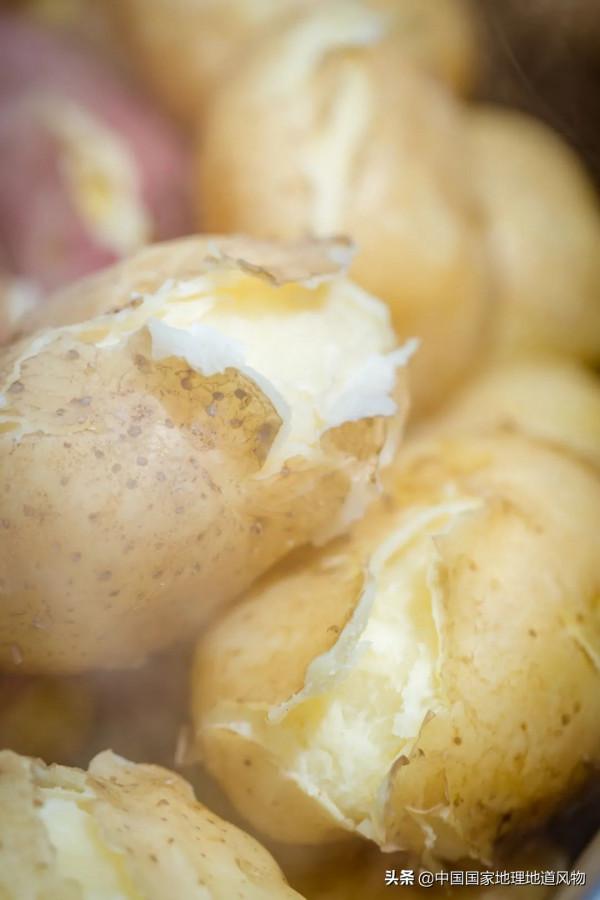 甘肅人的命,都是土豆給的 甘肅人的命,都是土豆給的