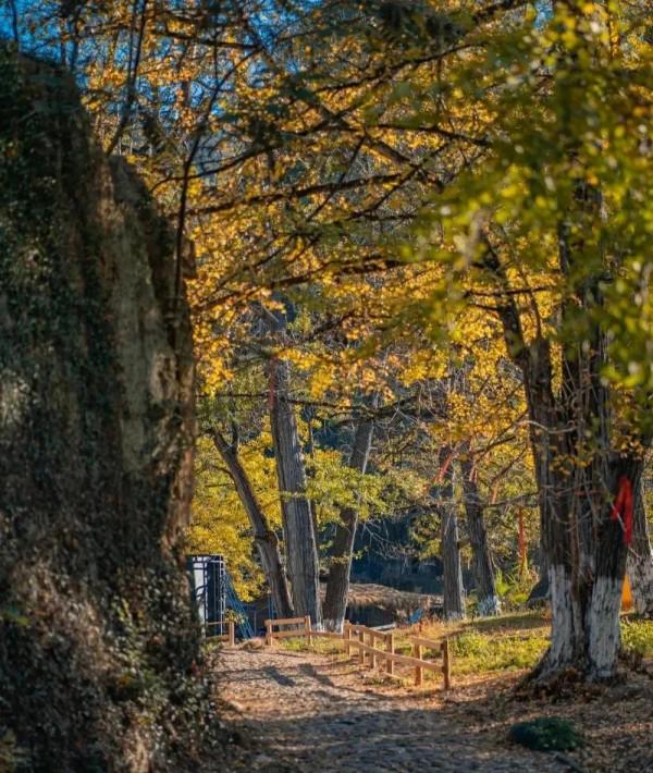 2022年旅行計劃,按著月份走,一鍵解鎖各大美景,快快收藏 2022年旅行計劃,按著月份走,一鍵解鎖各大美景,快快收藏