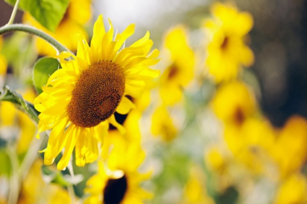 當你不與人爭辯,你就贏了 當你不與人爭辯,你就贏了