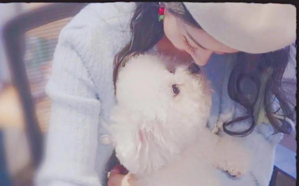 趙麗穎拍攝妻子的秘密的時候把毛球帶回家，如今已經陪伴穎寶十年