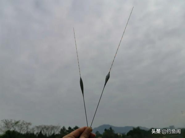 鯿魚並不傻，要想釣好它得了解5個小技巧，老釣友都說靠譜